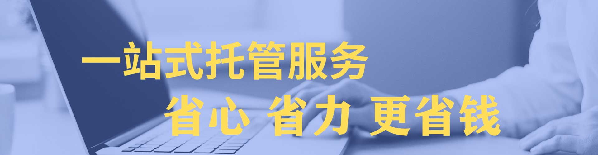 杨梅sem优化师